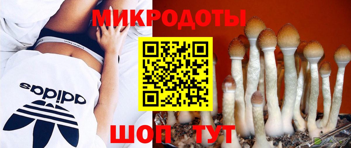 Галлюциногенные грибы ЛСД  Псилоцибиновые грибы Magic Shrooms  Вход с VPN  Иркутск 