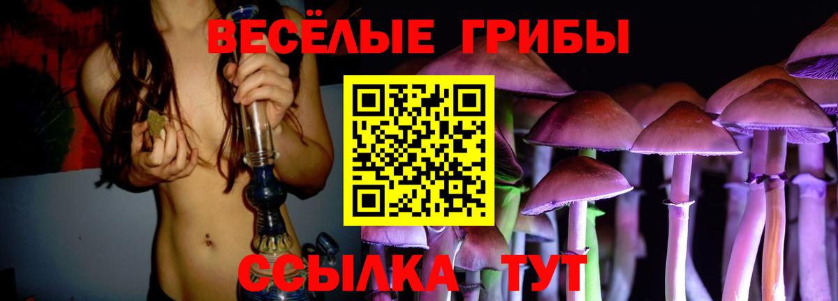 Псилоцибиновые грибы Cubensis Иркутск